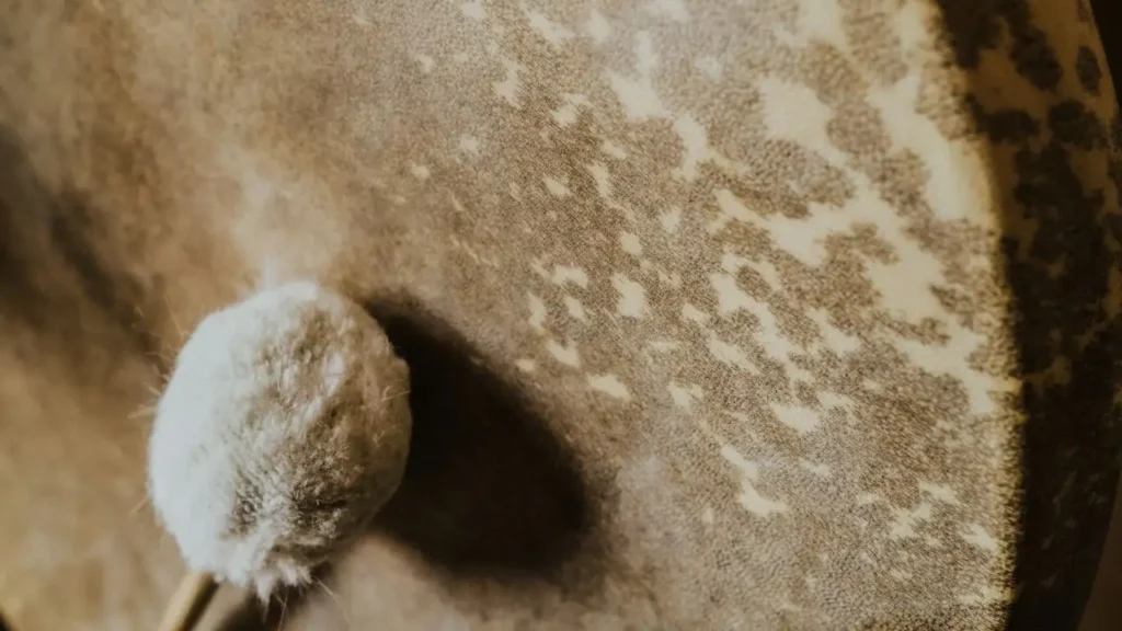 Shamanic drum
